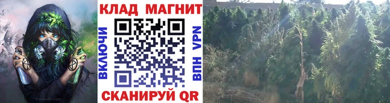 МДМА Болотное
