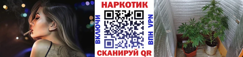 Наркошоп Болотное КОКАИН Меф MEGA ССЫЛКА МАРИХУАНА ГАШИШ
