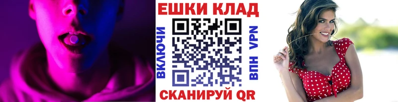 Ecstasy бентли  Болотное 