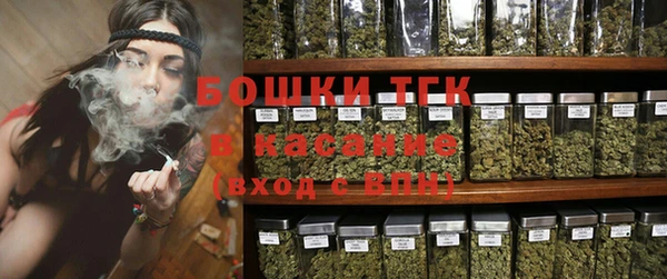 тгк Белокуриха